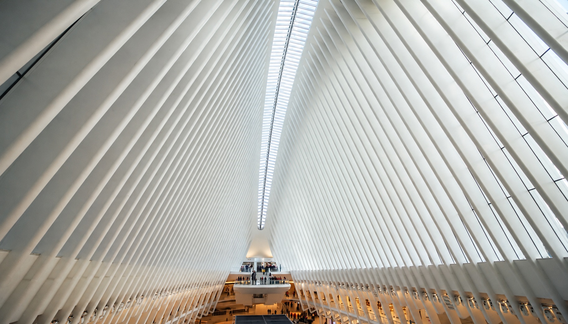 Light filtering through the repeating white ribs of an architectural interior
